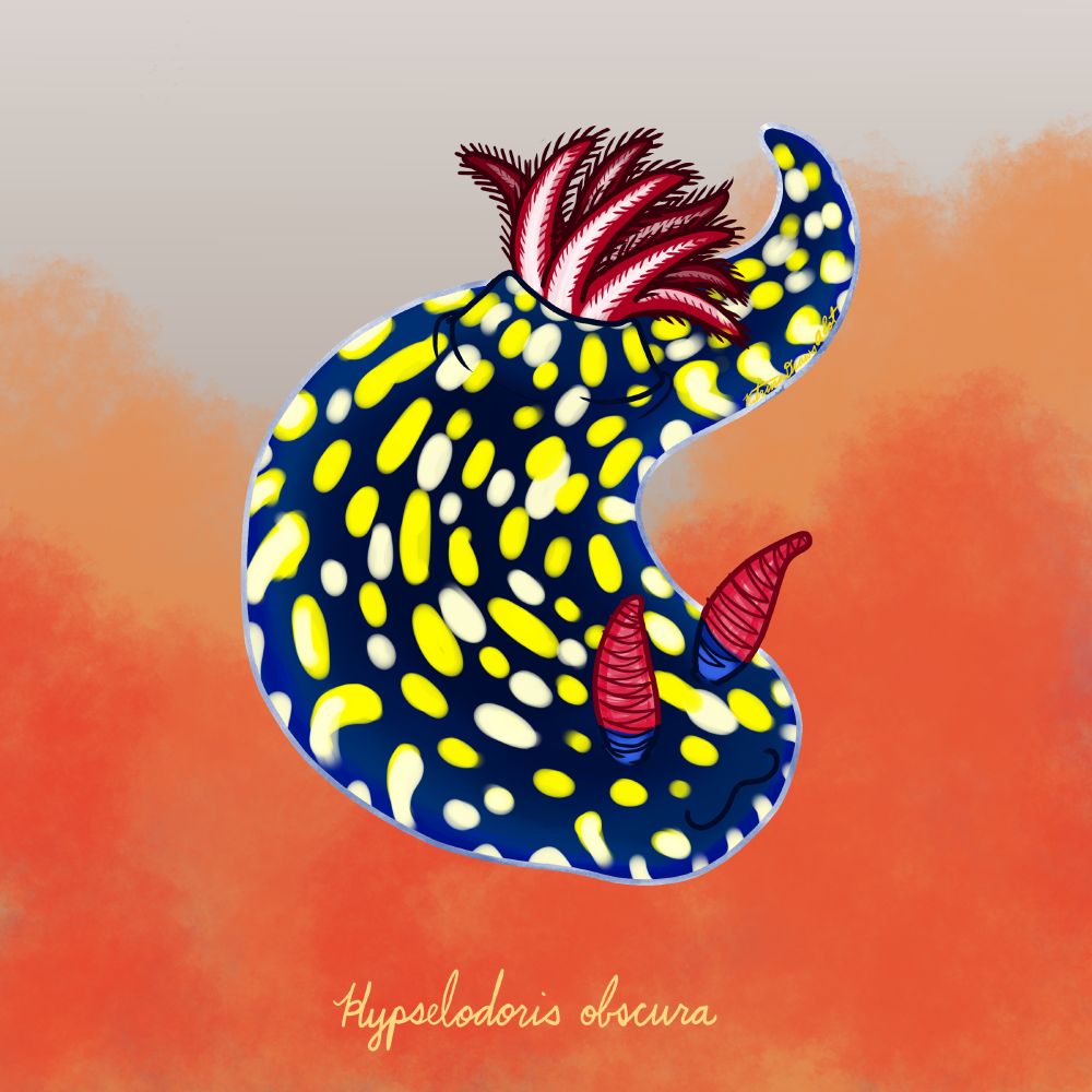 A blue nudibranch with white and yellow speckles, red rhinophores, and red gills