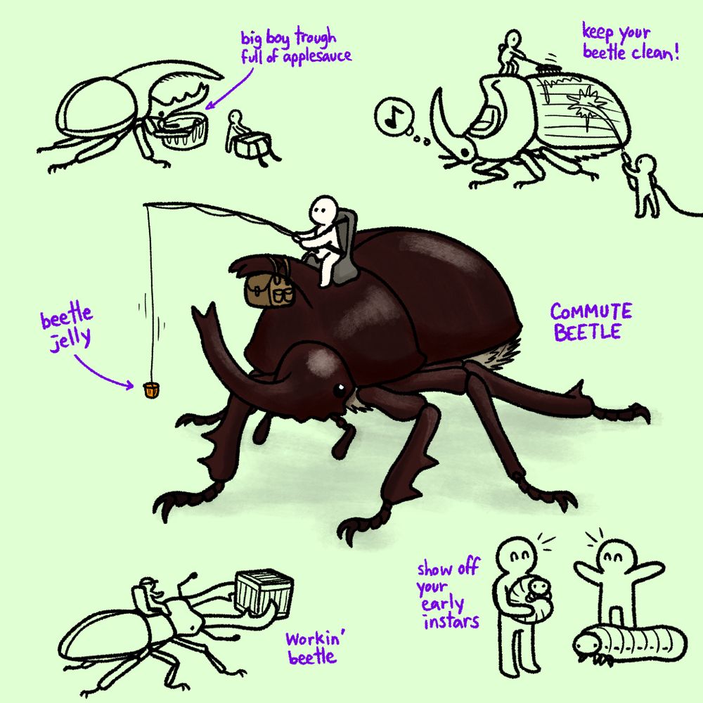 Center: A person riding a gigantic rhinoceros beetle with captions reading "beetle jelly" and "commute beetle"
Upper left: A giant rhinoceros beetle eating from a trough
Upper right: A giant rhinoceros beetle getting washed by two people
Lower left: A stag beetle moving a crate
Lower right: Two people happily showing off giant beetle grubs 