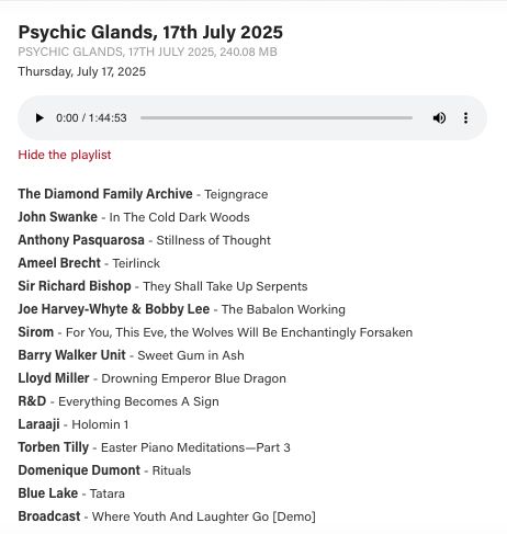 A playlist of songs and artists:
The Diamond Family Archive - Teigngrace
John Swanke - In The Cold Dark Woods
Anthony Pasquarosa - Stillness of Thought
Ameel Brecht - Teirlinck
Sir Richard Bishop - They Shall Take Up Serpents
Joe Harvey-Whyte & Bobby Lee - The Babalon Working
Sirom - For You, This Eve, the Wolves Will Be Enchantingly Forsaken
Barry Walker Unit - Sweet Gum in Ash
Lloyd Miller - Drowning Emperor Blue Dragon
R&D - Everything Becomes A Sign
Laraaji - Holomin 1
Torben Tilly - Easter Piano Meditations—Part 3
Domenique Dumont - Rituals
Blue Lake - Tatara
Broadcast - Where Youth And Laughter Go [Demo