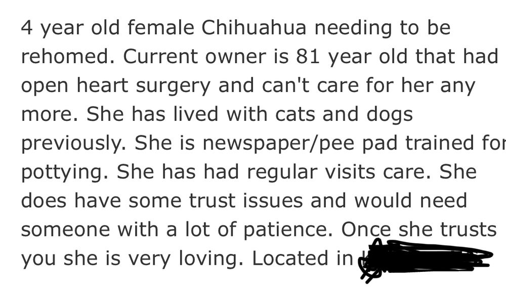4 year old female Chihuahua needing to be rehomed. Current owner is 81 year old that had open heart surgery and can't care for her any more. She has lived with cats and dogs previously. She is newspaper/pee pad trained for pottying. She has had regular visits care. She does have some trust issues and would need someone with a lot of patience. Once she trusts you she is very loving. Located in [redacted city]