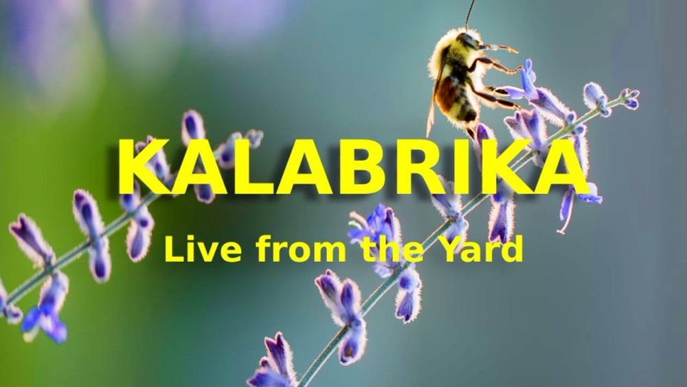 Kalabrika - Live from the Yard