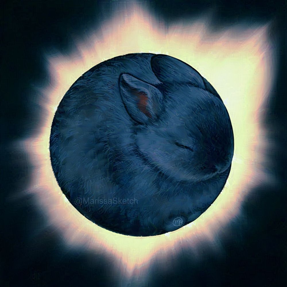 Digital illustration of a very round blueish-black baby bunny with its eye closed. Behind its circular body is the glowing yellow and pink corona of the sun against a black background, creating a scene reminiscent of a total solar eclipse.