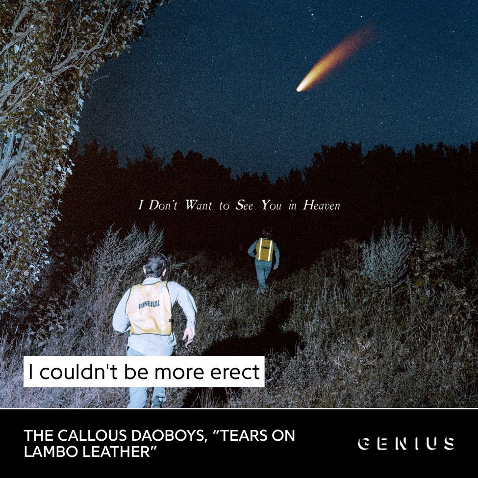 Lyrics from “Tears on Lambo Leather” by The Callous Daoboys, from their album “I Don’t Want To See You in Heaven”

“I couldn’t be more erect”