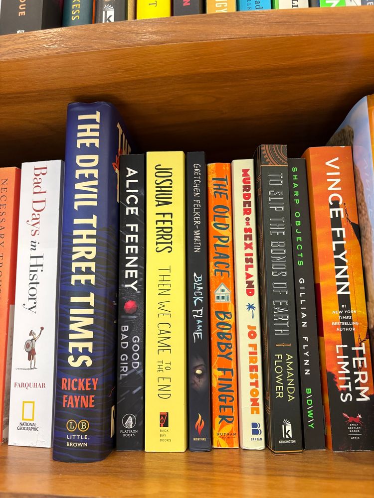 A bookshelf at a bookstore in an airport. Between several other books, a copy of Black Flame by Gretchen Felker-Martin

Especially poignant considering the dipshit Florida governor’s useless and cruel war on trans people