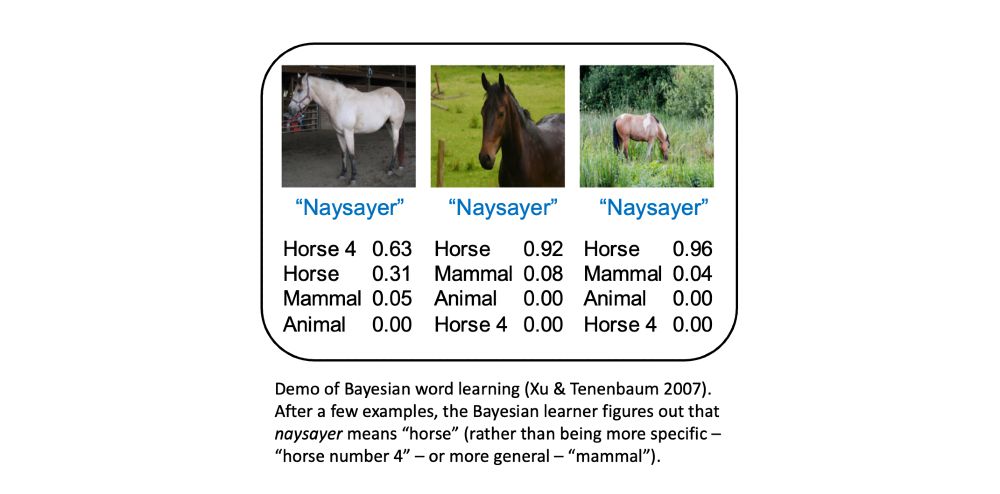 Screenshot of a demo of Bayesian word learning (Xu & Tenenbaum 2007). After a few examples, the Bayesian learner figures out that naysayer means “horse” (rather than being more specific – “horse number 4” – or more general – “mammal”).