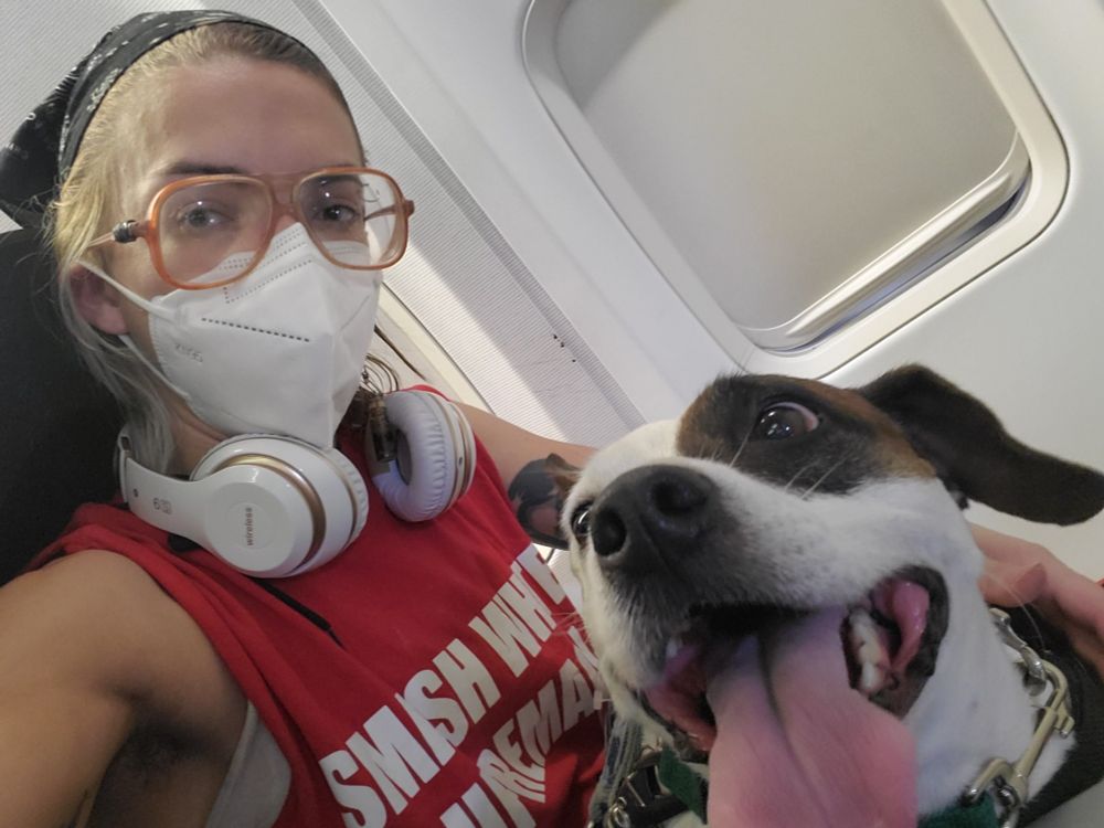 A photo of me and lucy sitting in a plane. Im masked up and lucy is big cheesing tongue flapping out