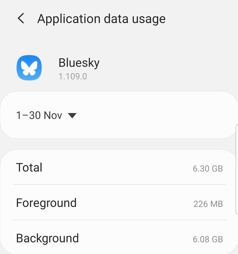 Phone app usage shows data usage over 6GB by Bluesky 