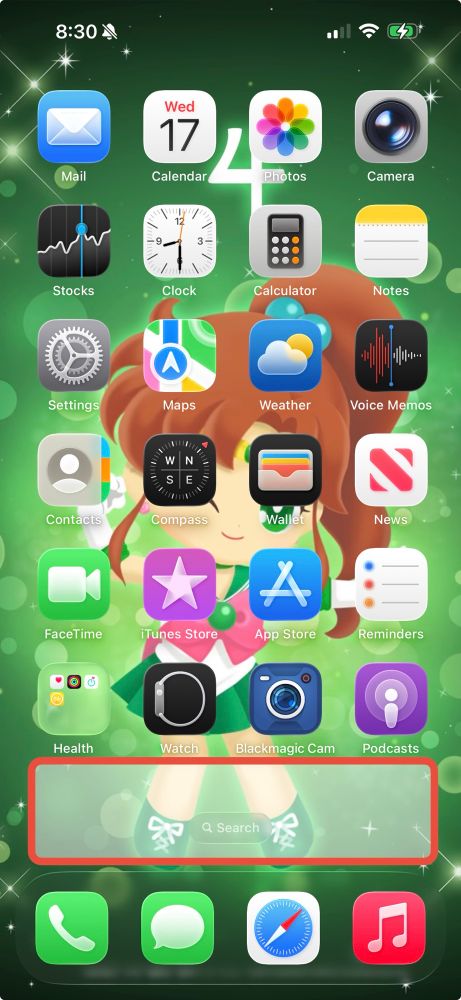 Screenshot of an iPhone Home Screen