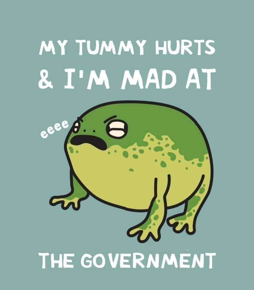 An image of a green, orb-shaped frog making an "eeeee" noise. Text above and below says "My tummy hurts and I'm mad at the government."
