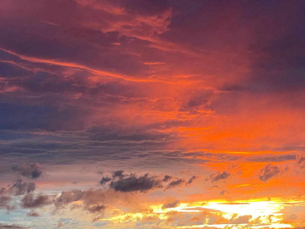 sunset photo ranging from deep purple to bright yellow, with a series of small dark purple clouds running across the lower region. 