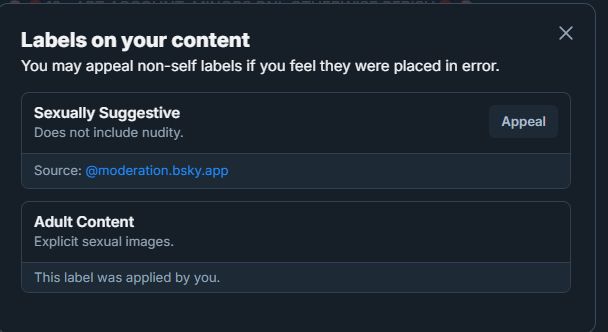 Bluesky auto-applied the Sexually Suggestive label on the sketch, which I marked with Adult Content. The Sexually Suggestive label states 'Does not include nudity'. The sketch has a visible erect penis.