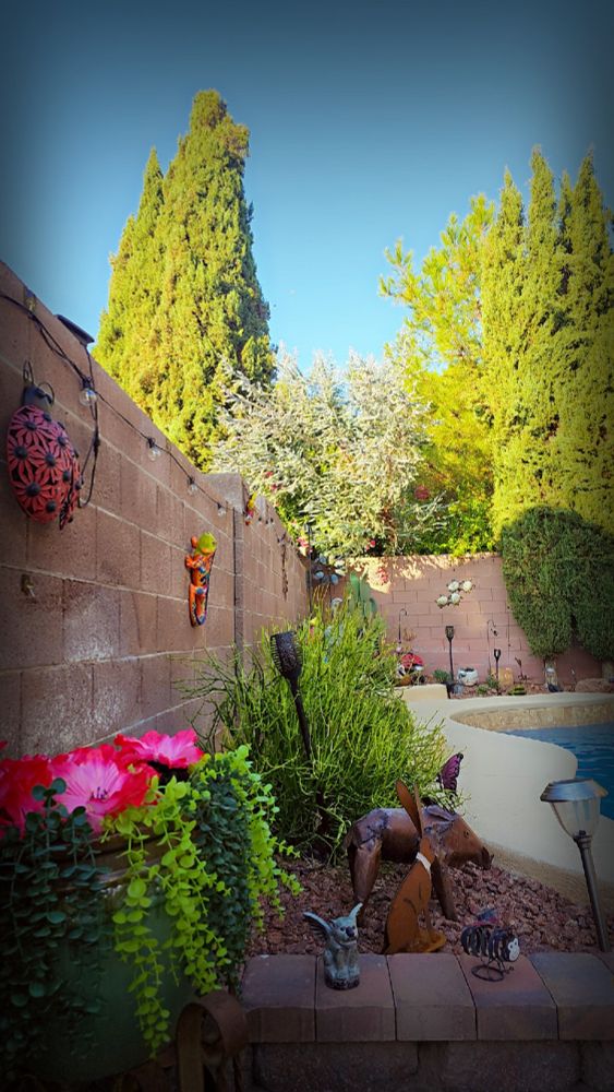 Good Morning #BreakfastCrew #bluecrew Enjoy your coffee today.
Drop your #outside photo here. Let's share the beauty around us 🏡🏜🏖