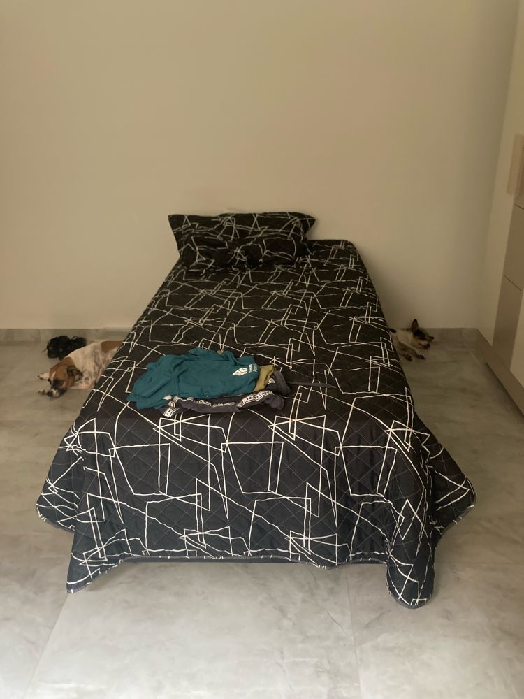 foto de uma cama com coberta preta com riscos branco, dois cachorros no chão, aos lados da cama