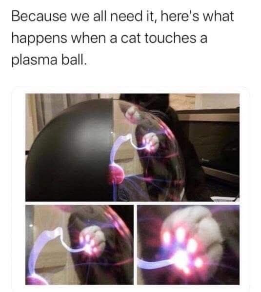 An image with the text "Because we all need it, here's what happens when a cat touches a plasma ball". Underneath are three images showing a cat's paw on a clear glass ball. Inside the ball, electric current creates a jagged laser line to the cat's paw. The cat looks on, intrigued.