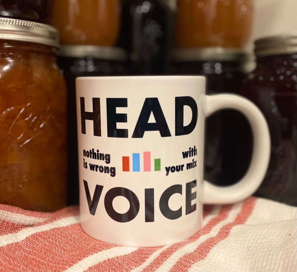 HeadVoice mug
