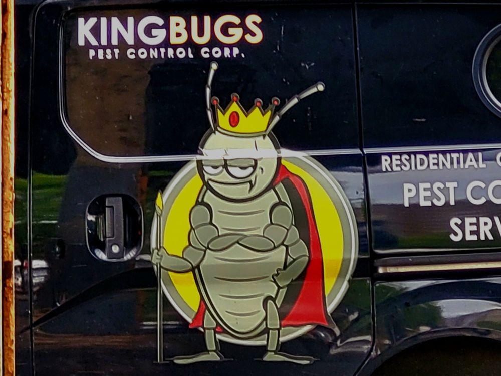 closeup of art on the side of a black van belonging to King Bugs Pest Control. the art is a scowling cartoon cockroach wearing a gold crown between his antennae, and red cape. he is standing upright, with his top pair of arms folded. his right middle arm is clenched at his side and his left middle arm is holding a spear. the art style is anthropomorphized without being cutesy.