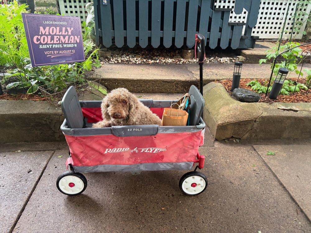 A dog in a wagon in front of a Molly Coleman sign.