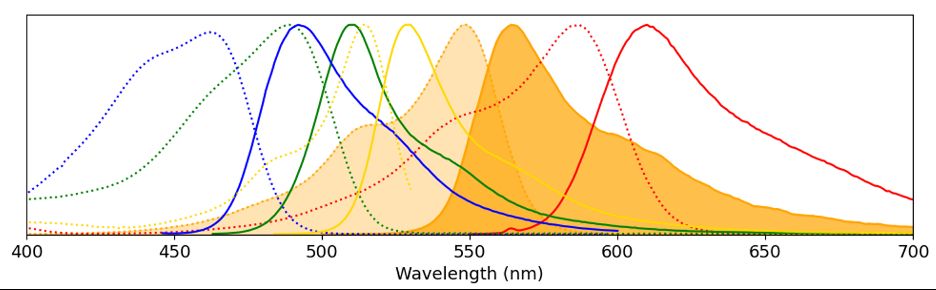 1P excitation (dotted) and emission (solid) spectra for various teal, green, yellow, orange, and red fluorophores. 