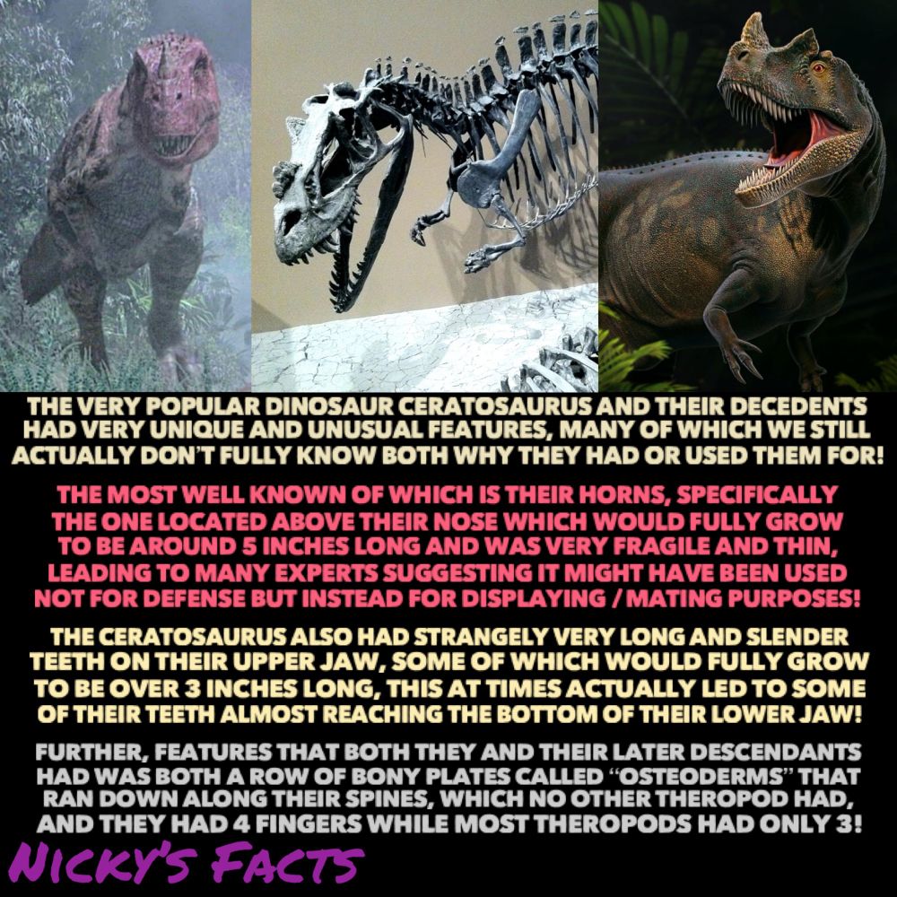 History facts about the dinosaur Ceratosaurs!💜