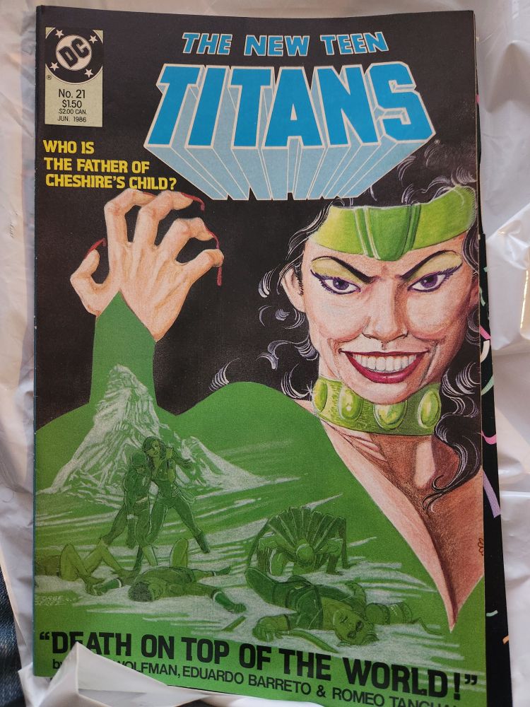 The cover of The New Teen Titans vol. 2 issue 21.

It shows Cheshire, real name Jade Nguyen, with a menacing smile facing the viewer with her right hand clutched in a claw around face-level. The green of her flowing outfit is superimposed over the defeated looking male members of the titans, all of them knocked out except for nightwing who is lending a shoulder to the flash. 

Text below the issue number reads, "who is the father of cheshire's child?"