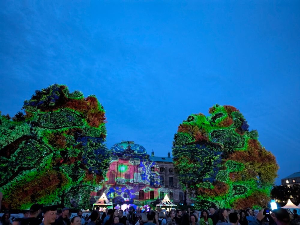 Lichtinstallation am japanischen Palais
