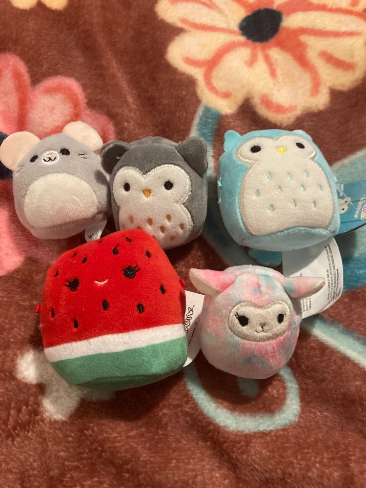 Mini squishmallows, a light grey mouse, dark grey owl, light blue owl, watermelon and a pink and blue tie dye mouse 