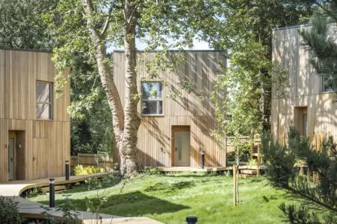 Timber clad houses set out beside a raised timber deck path, surrounded by greenery and trees.
