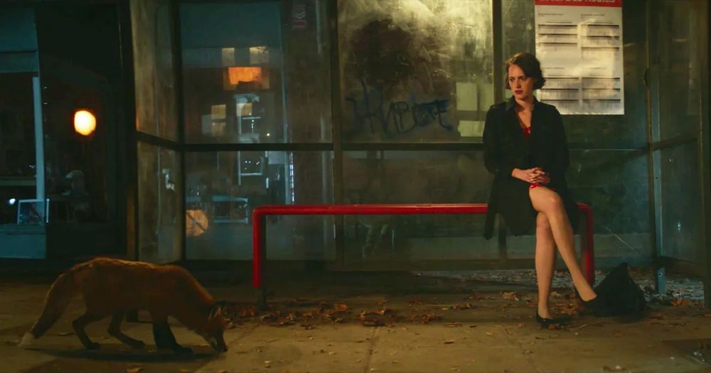 Fleabag sitting at the bus stop after the Hot Priest leaves, she is staring at a fox (series finale of the show Fleabag).