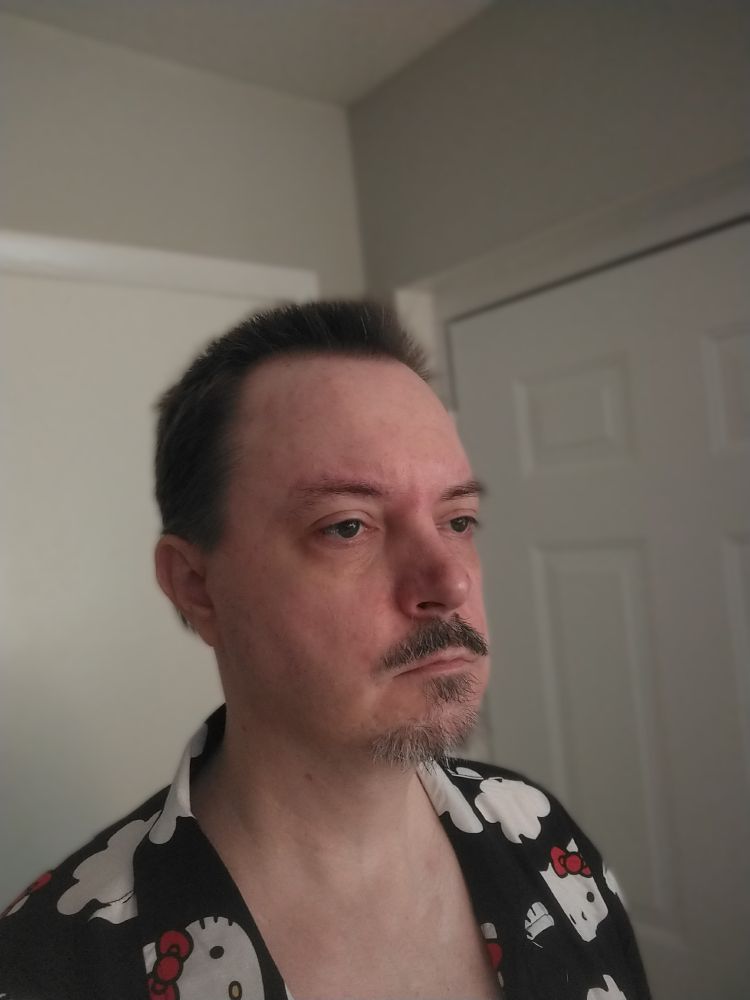 A picture of the poster, their hair trimmed short. They're wearing an unbuttoned black Hawaiian style button-up shirt with a Hello Kitty print. They're looking toward the right side of the frame.