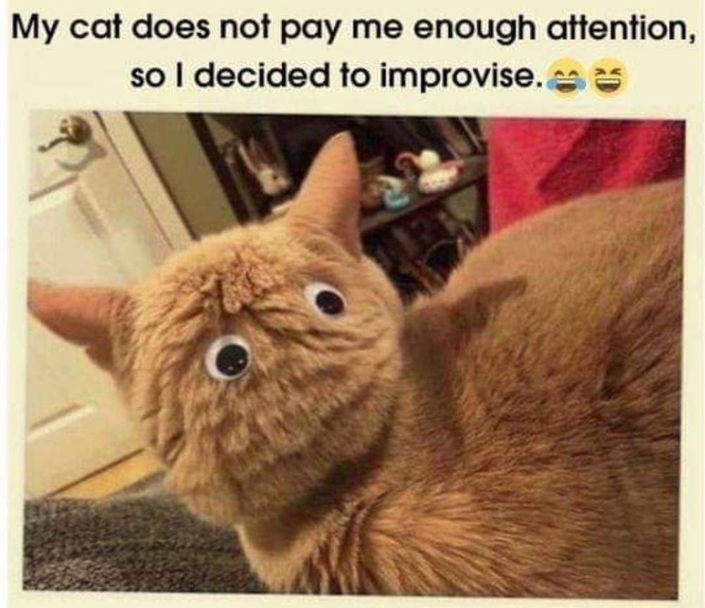 Comment image