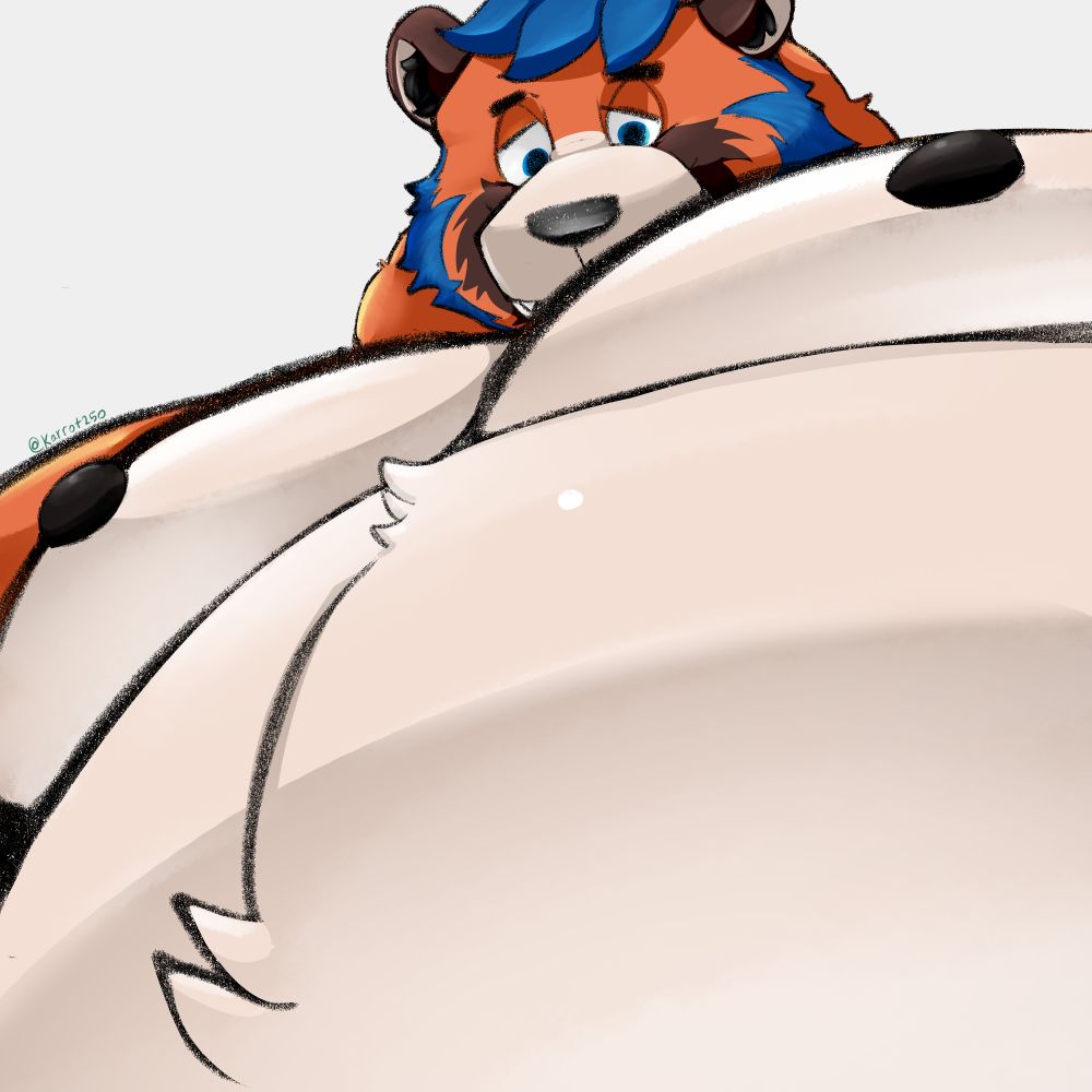 Tec, a fat anthropomorphic foxbear, is looking down from the viewer's perspective, his cream-colored belly and chest taking up most of the view. His expression is gentle and warm. Art by Karrottonto on bluesky.