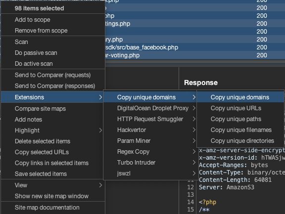 A screenshot of the context menu in Burp, showing Extensions > Copy unique domains > domains, URLs, paths, filenames or directories.