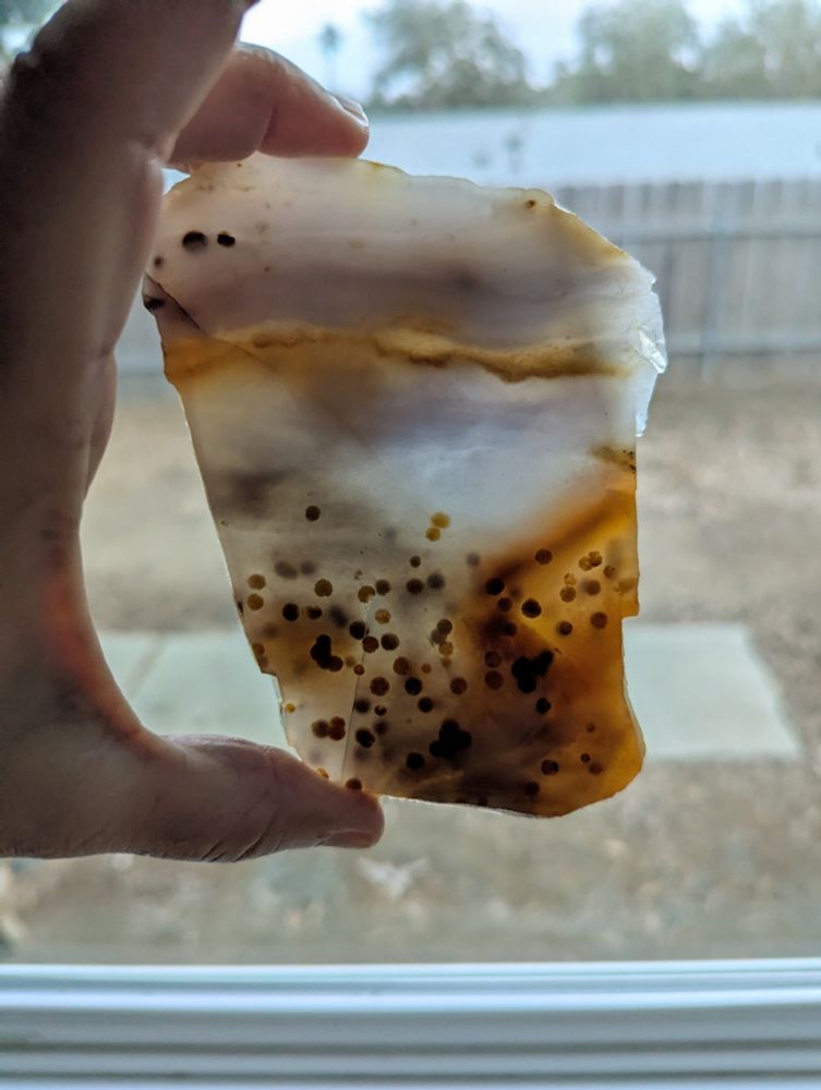 A hand holding up a slab of polka dot agate.