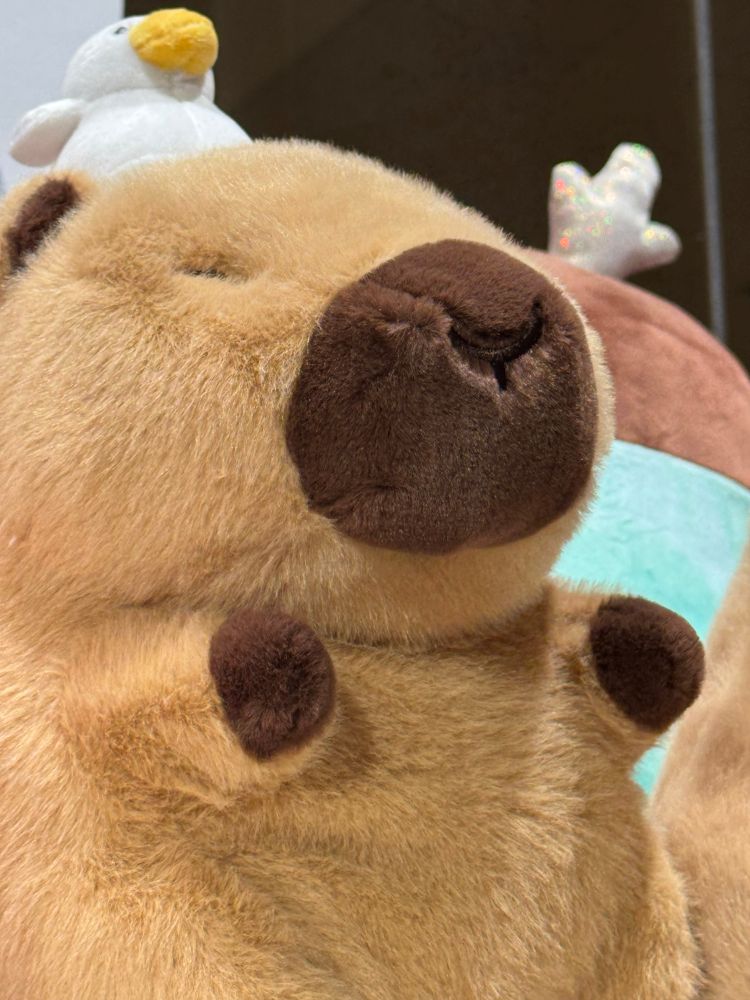 A chill capybara with a white duck sitting on his head. I would think he’s thinking about crimes or something