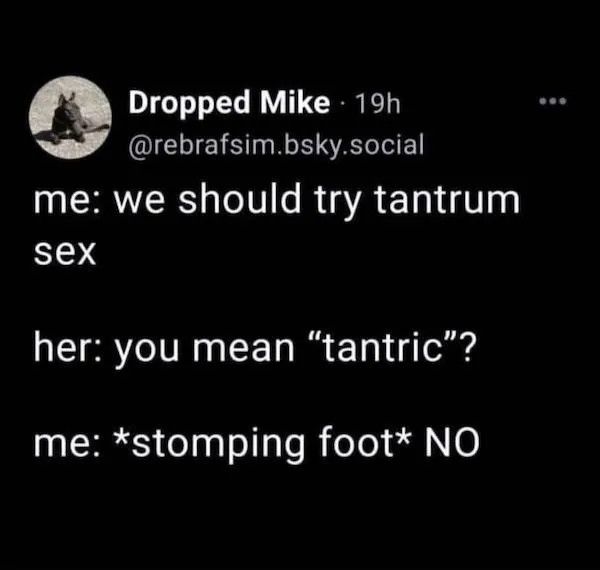 person #1: we should try tantrum sex person #2: you mean 