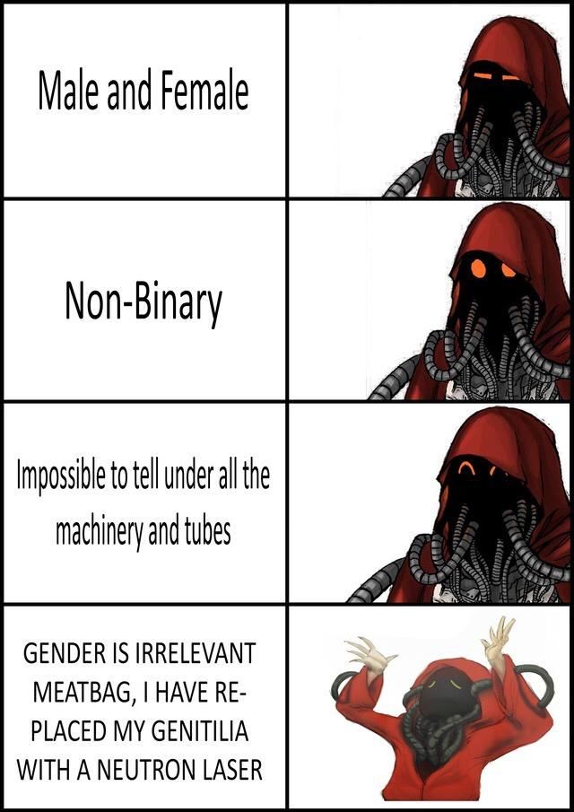 The Adeptus Mechanicus would like you to know that your gender is irrelevant Overcoming the restrictions of the flesh (by, for example, replacing one's genatalia with an anti-neutron laster) is far more important