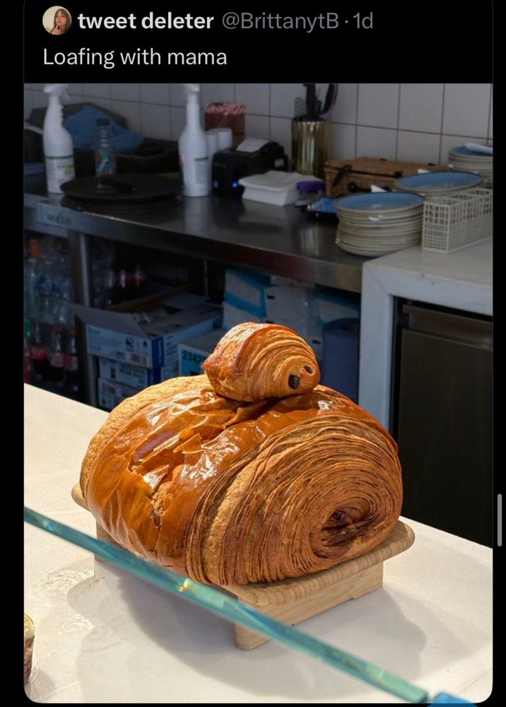 loafing with mama (two croissants)