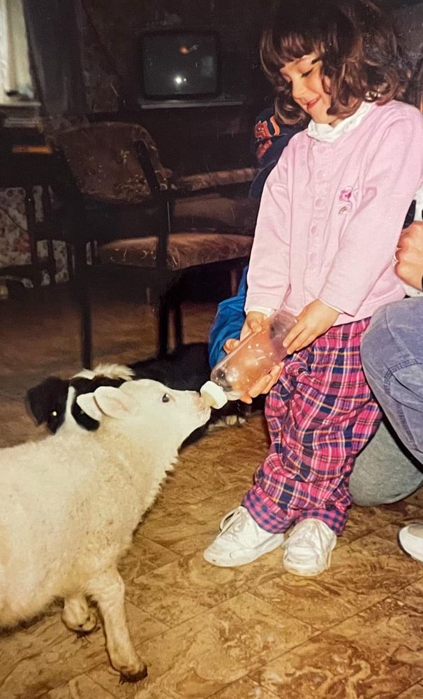 baby bari feeding lamb