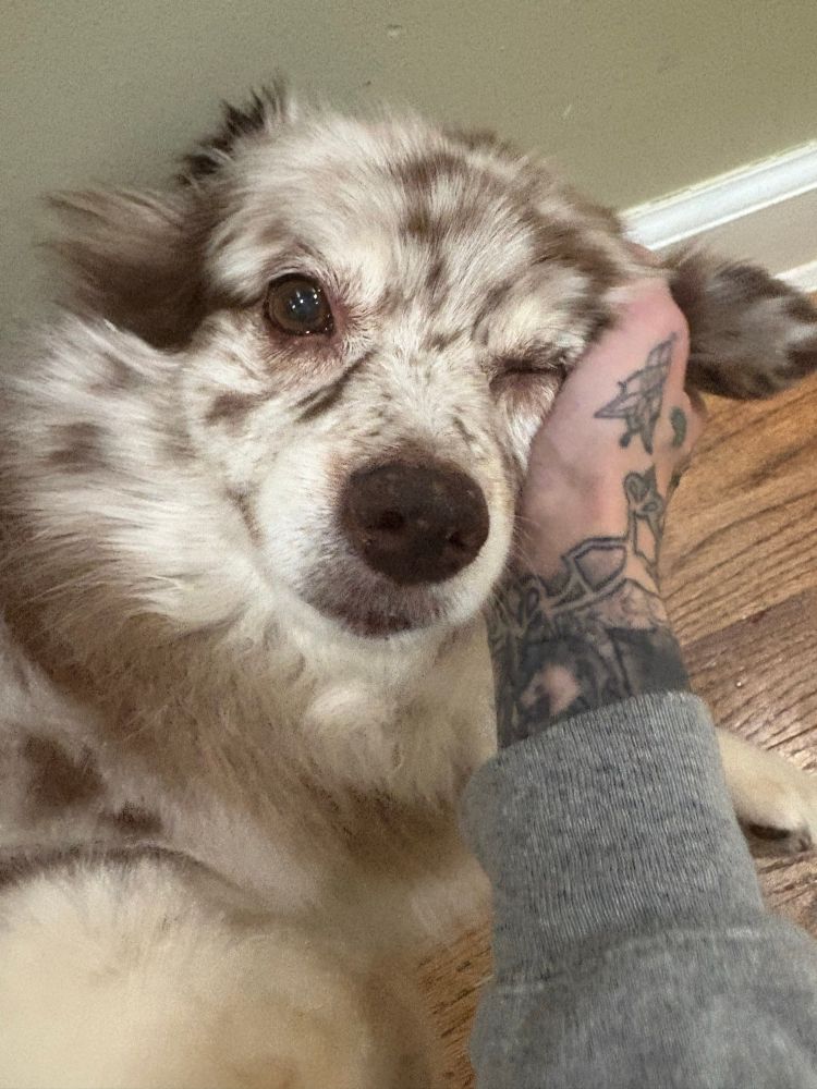 shea being loved 