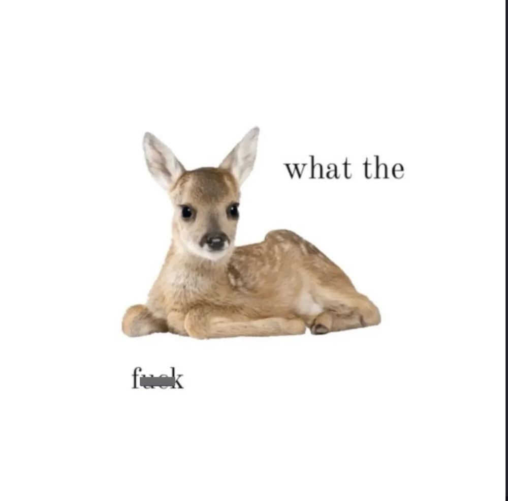 a deer, “what the fuck”