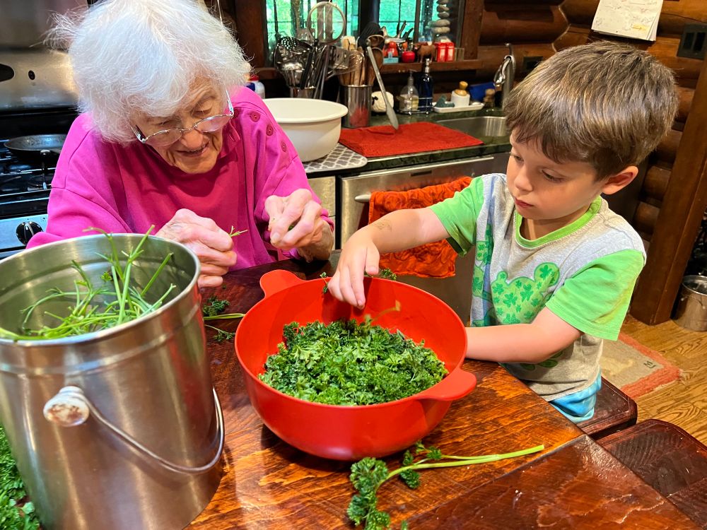 ruairi picking parsley with grandma 