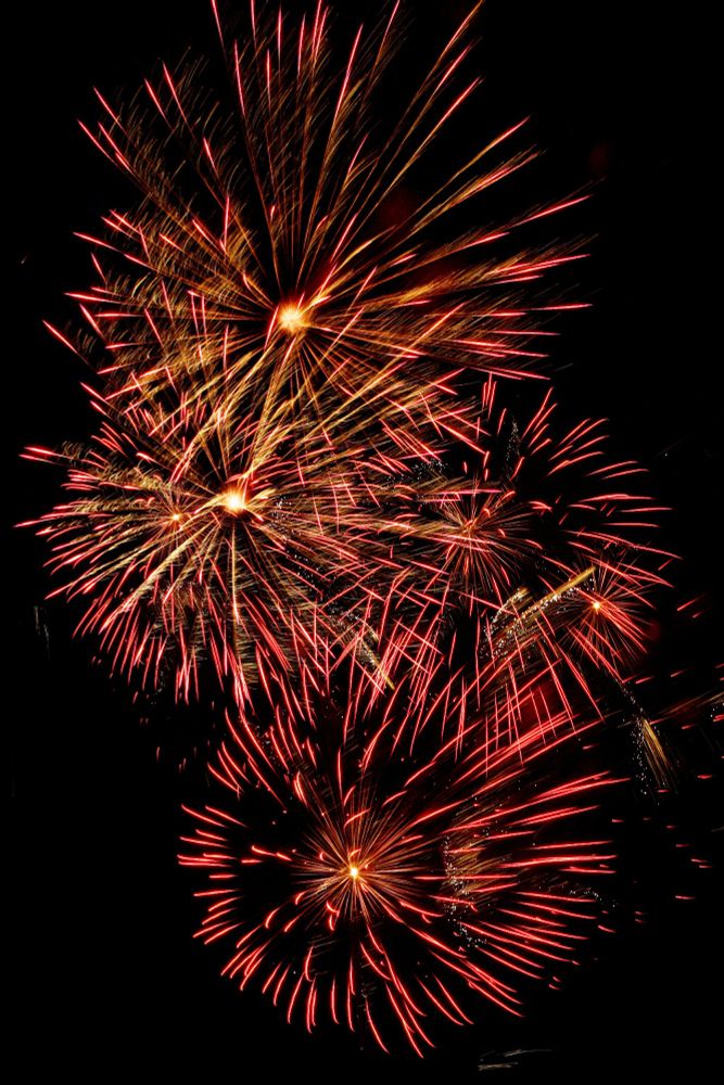four fireworks exploding against a black sky