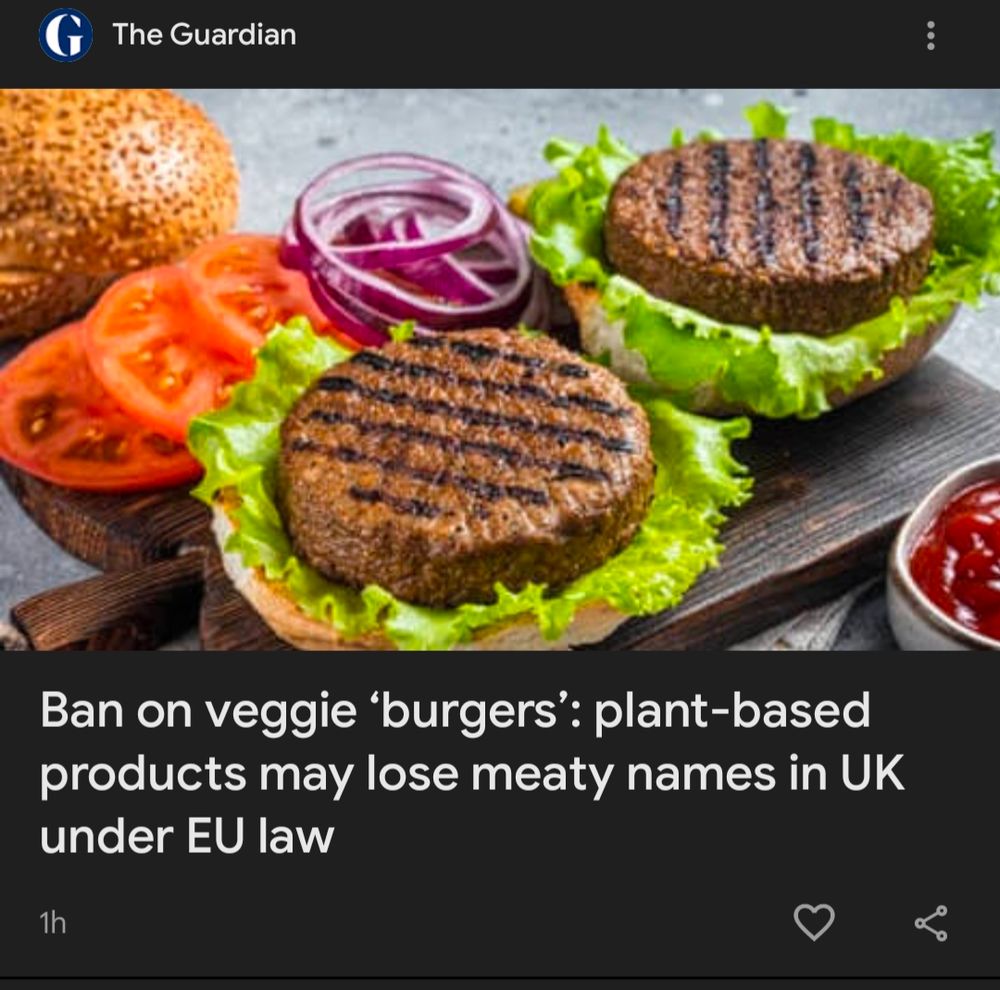 Headline about banning the name burgers from veggie burgers.