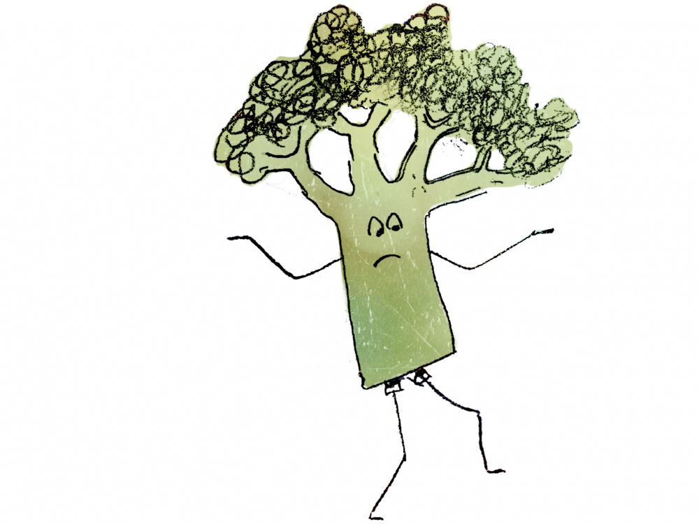 "Miss Broccali has a new hair-do." Drawing by P. Texier