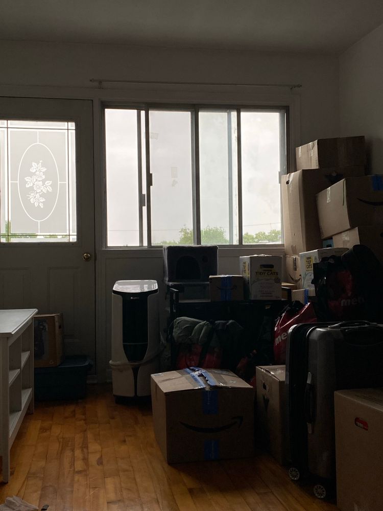 A dim room filled with moving boxes. It’s raining outside, and the window has a pretty flower decal on it. 