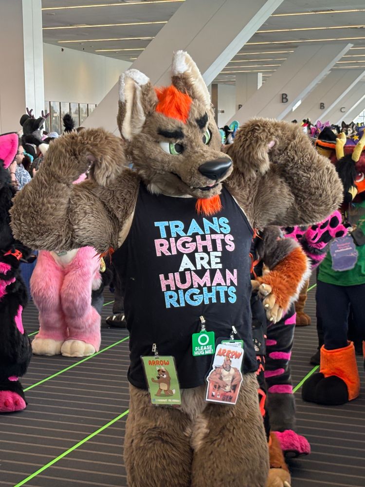 A photograph of a muscular, tanktop-wearing canine fursuiter in the Anthrocon parade wearing a tanktop that says "Trans Rights Are Human Rights".