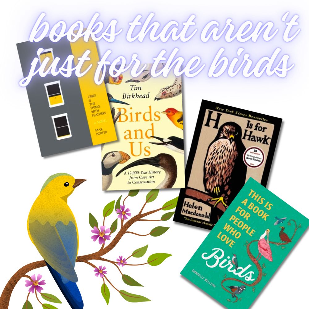 This Is a Book for People Who Love Birds by Danielle Belleny
Birds and Us: A 12,000-Year History from Cave Art to Conservation by Tim Birkhead
H is for Hawk by Helen MacDonald
Grief is the Thing with Feathers by Max Porter