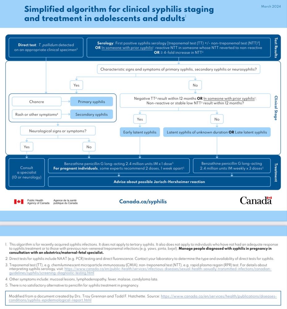 Image is a screenshot of a flowsheet titled ‘Simplified algorithm for clinical syphilis staging and treatment in adolescents and adults’. It begins with ‘test results’, then considers clinical signs and symptoms to determine the individual’s ‘clinical stage’ of syphilis, and then indicates the corresponding recommended intervention (consultation for assessment of neurosyphilis or first-line antimicrobial treatment regimen for primary, secondary, or latent syphilis)