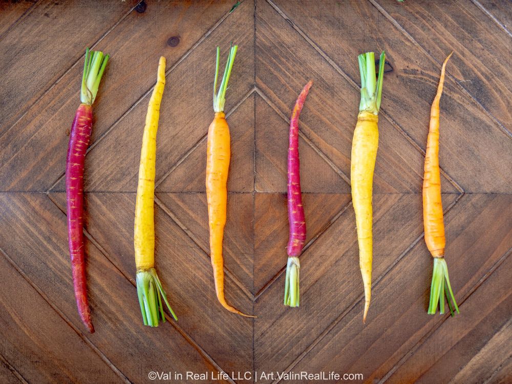 Six heirloom carrots (purple, orange, and yellow) spread out evenly on a wooden board with their tops trimmed and in alternating up and down positions.