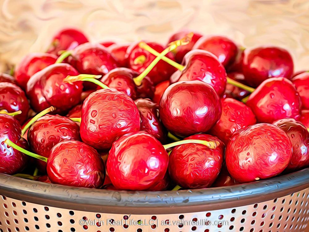 Digital photographic artwork showing freshly washed ripe red cherries resting in a colander